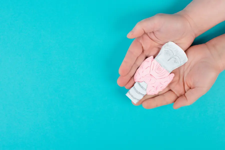 A person's hands are gently cupping a paper cutout illustration of a brain on a bright blue background, reminiscent of an artist's beginners guide.